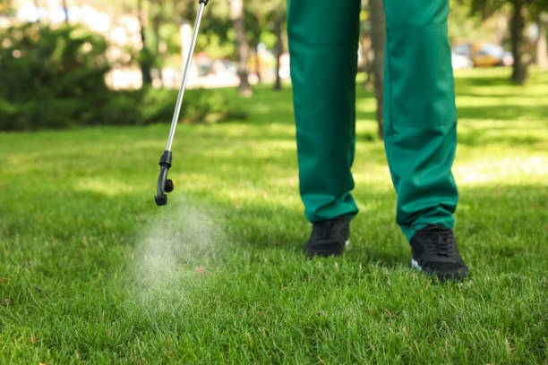 Best Flea Control Services  in Talahi Island, GA