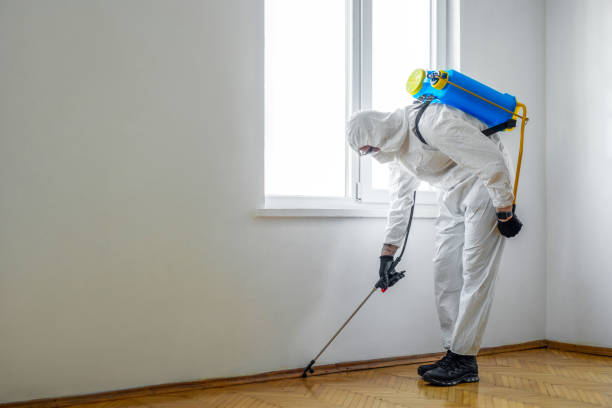Flea Control Services in Talahi Island, GA